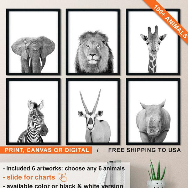 Zoo Nursery Prints Etsy