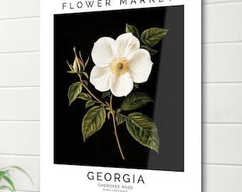 Cherokee Rose Art Print: Georgia State Flower, Botanical Wall Decor