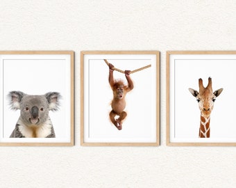 Jungle Animal Prints: Safari Nursery Decor, Set of 3