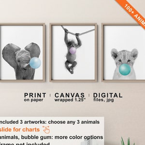 May include: Three black and white animal illustrations with bubble gum. An elephant, an orangutan, and a lion cub. The text 'PRINT on paper | CANVAS wrapped 1.25" | DIGITAL files, jpg' is below the images. The text 'included 3 artworks: choose any 3 animals - slide for charts - animals, bubble gum: more color options - frame not included' is below the text. The text 'etsy.com/shop/PinkeeArt' is at the bottom of the image.