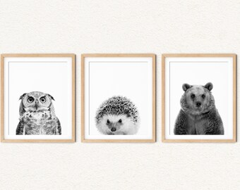 Woodland Animal Prints: Neutral Nursery Decor, Forest Animals, Set of 3