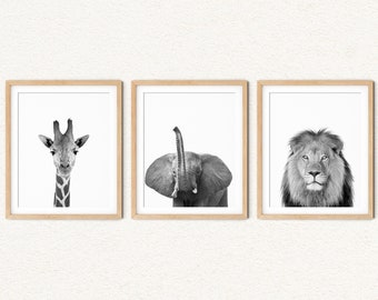 Modern Animal Prints, Jungle Kids Room Wall Art, Safari Animal Pictures Black and White, Giraffe Elephant Lion Animal Photography