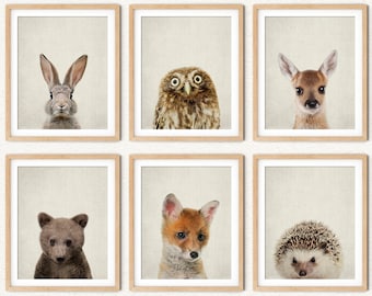 Woodland Creatures Prints, Baby Woodland Animal Nursery, Forest Animals Baby Decor, Forest Friends Nursery, Animal Photos for Kids Room