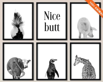 Modern Animal Butt Pictures, Nice Butt Bathroom or Powder Room Decor Set of 6