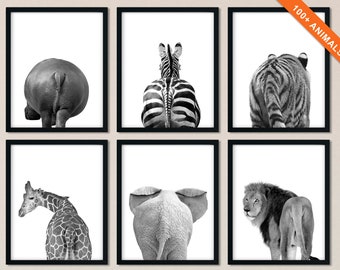 African Animal Wall Art Black and White, Wild Real Animal Butt Pictures Set of 6, Available on Paper or Canvas Wrap, Modern Home Art