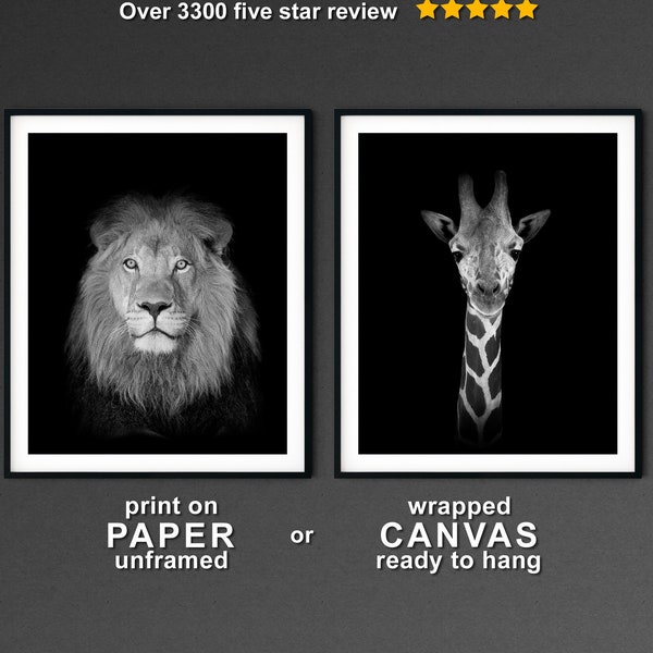 Safari Animal Wall Decor Set of 2, Lion Giraffe Animal Photography Prints, Black Background Wall Art, Jungle Animal Nursery Prints