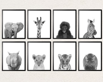 Safari Baby Animal Prints Black and White or Color, Jungle Animal Nursery Prints Canvas or Paper, African Animals Canvas, Kids Bedroom Decor