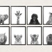 Safari Baby Animal Prints Black and White or Color, Jungle Animal ...