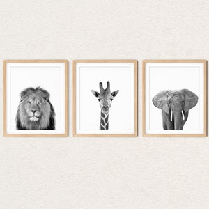 Animal Prints for Nursery Set of 3, Black and White Safari Animals, Safari Nursery Decor Neutral, Lion Giraffe Elephant Prints