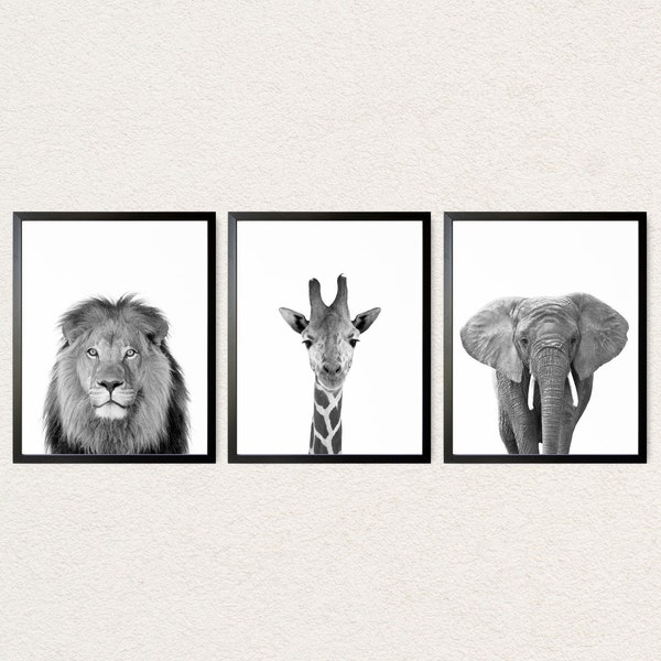 Black and White Animal Prints, Safari Animals Nursery Prints, Jungle Animals Wall Art, Safari Baby Decor, Lion Giraffe and Elephant Kids Art