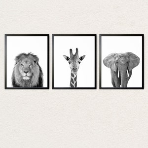 Black and White Animal Prints, Safari Animals Nursery Prints, Jungle Animals Wall Art, Safari Baby Decor, Lion Giraffe and Elephant Kids Art