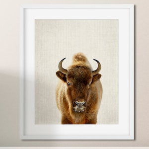 Bison photo print, Buffalo wall decor, Bison gifts, Buffalo print, Bison nursery decor, Buffalo head poster, Animal decor Print/Canvas/Digi image 1