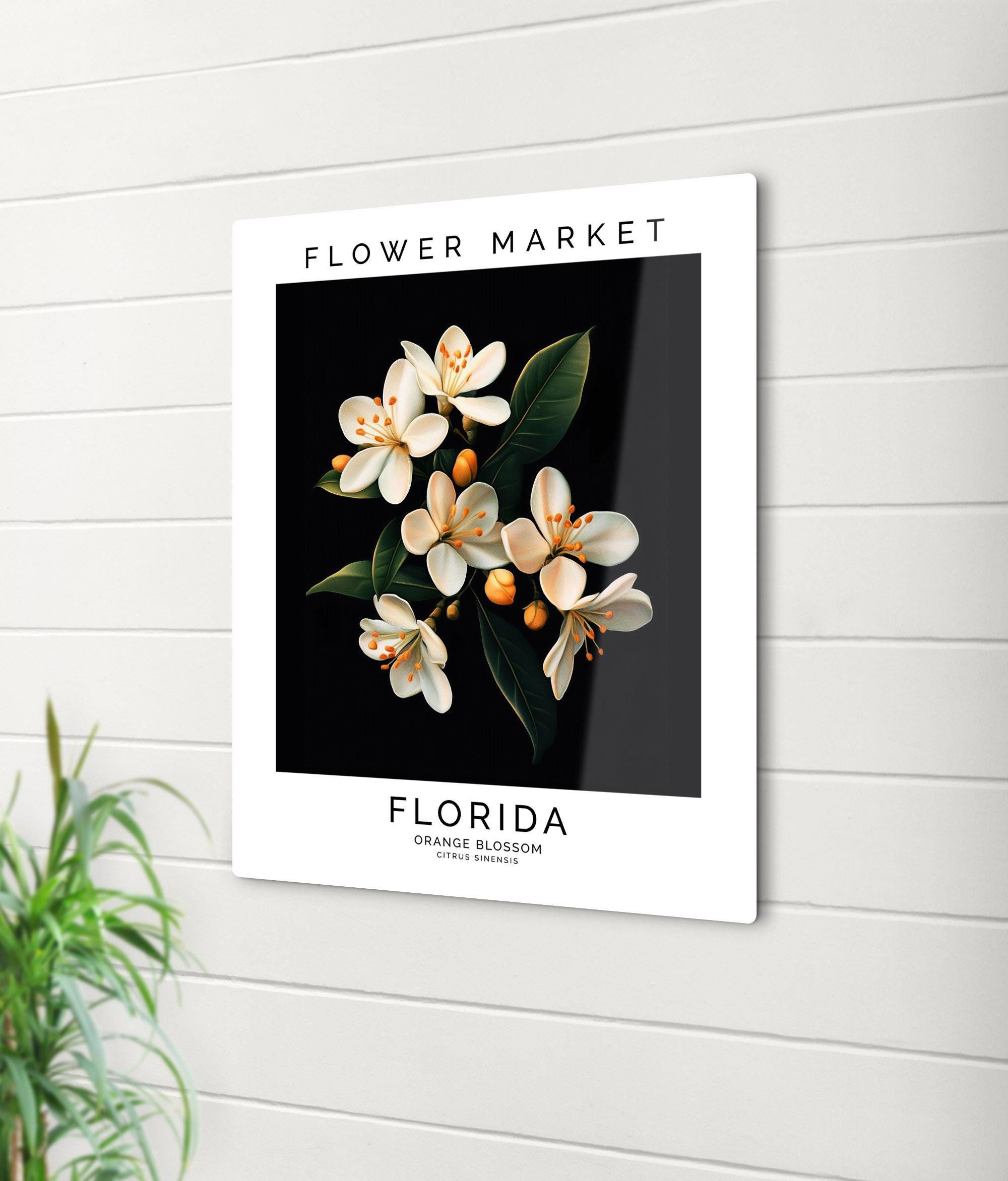 Orange Blossom Flower Market Print: Florida State Art - Etsy