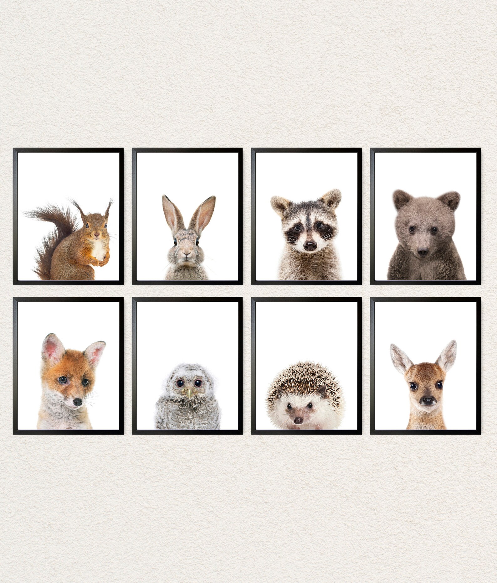 Baby Woodland Animal Prints Set of 8 Animals on Canvas or Etsy