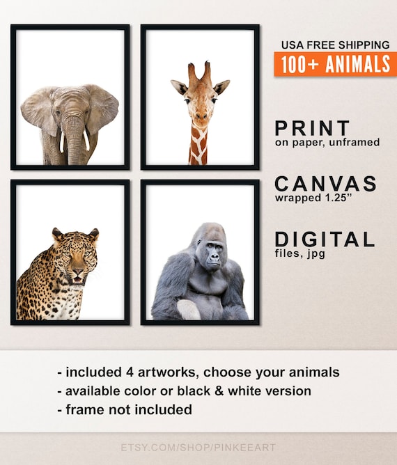 → View on Etsy: Safari Animal Nursery Prints: Elephant, Giraffe, Leopard, Gorilla (Set of 4) Safari Animal Nursery Prints: Elephant, Giraffe, Leopard, Gorilla (Set of 4)