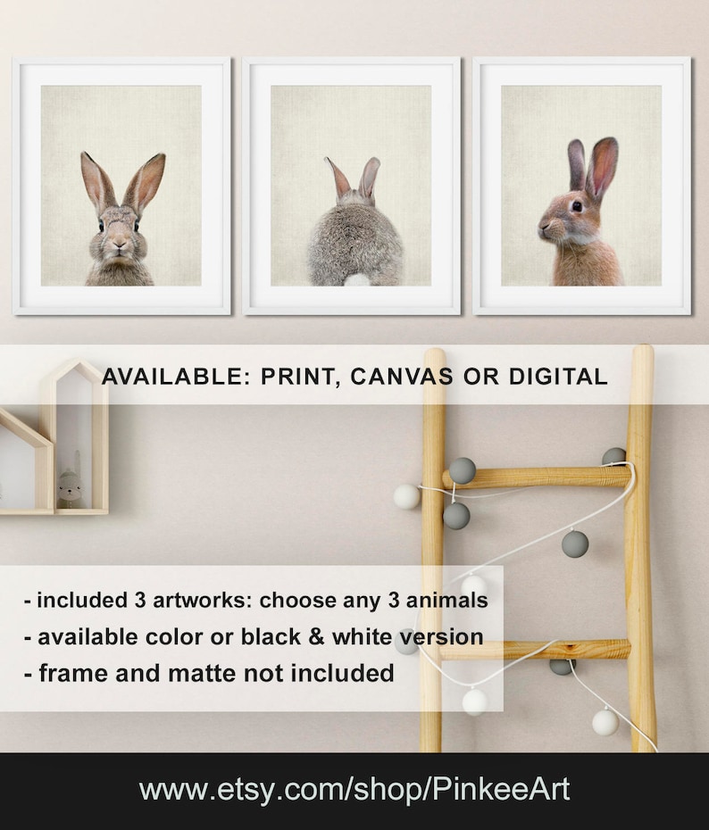 May include: Three framed prints of a rabbit, each showing a different pose. The rabbit is brown and white. The text "AVAILABLE: PRINT, CANVAS OR DIGITAL" is below the prints. The text "included 3 artworks: choose any 3 animals" is below the text. The text "available color or black & white version" is below the text. The text "frame and matte not included" is below the text. The text "www.etsy.com/shop/PinkeeArt" is at the bottom of the image.