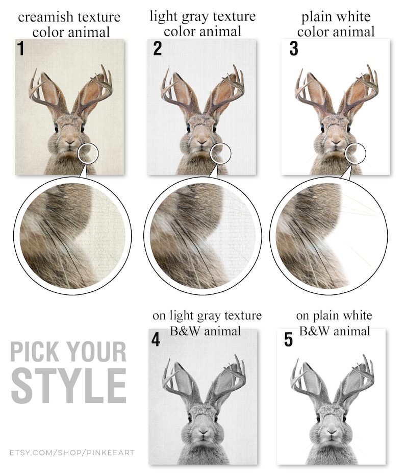 May include: A digital art print featuring a stylized illustration of a rabbit with antlers. The print is available in five different styles: creamish texture with color animal, light gray texture with color animal, plain white with color animal, light gray texture with black and white animal, and plain white with black and white animal. The print includes the text "Pick Your Style" and "Etsy.com/shop/Pinkkeart".