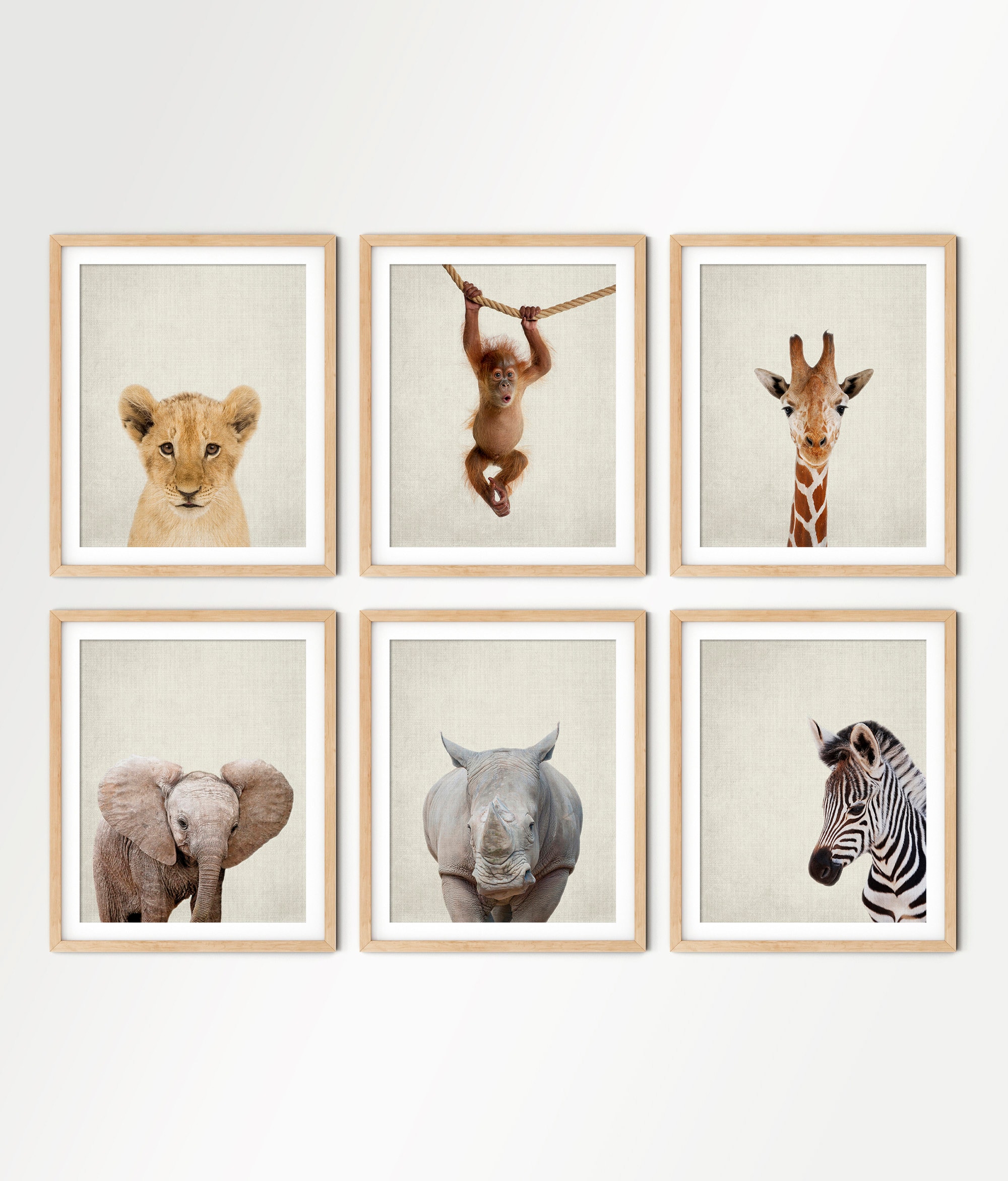 Wall Décor Wall Hangings Zoo Animal Prints Safari Baby Decor Jungle ...