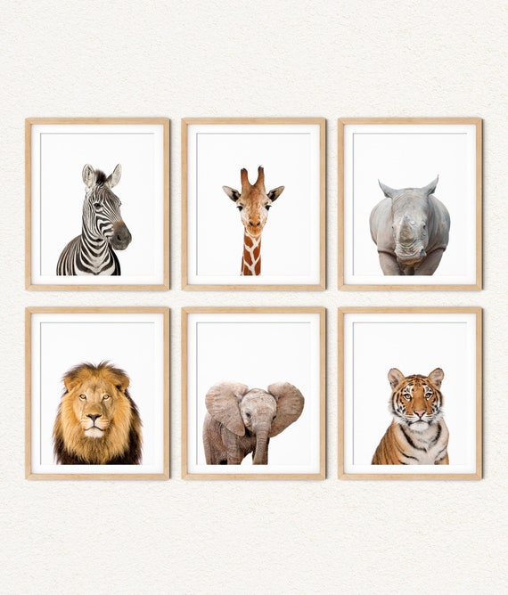 Jungle Animal Nursery Wall Art Safari Kids Bedroom Decor Etsy