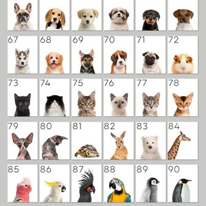以下が含まれることがあります： 90個の正方形のグリッドで、それぞれ異なる動物がいます。動物には、犬、猫、モルモット、カメ、カンガルー、ホッキョクグマ、キリン、コカトゥー、黒いコカトゥー、オウム、ペンギン、ピンクのコカトゥーが含まれます。