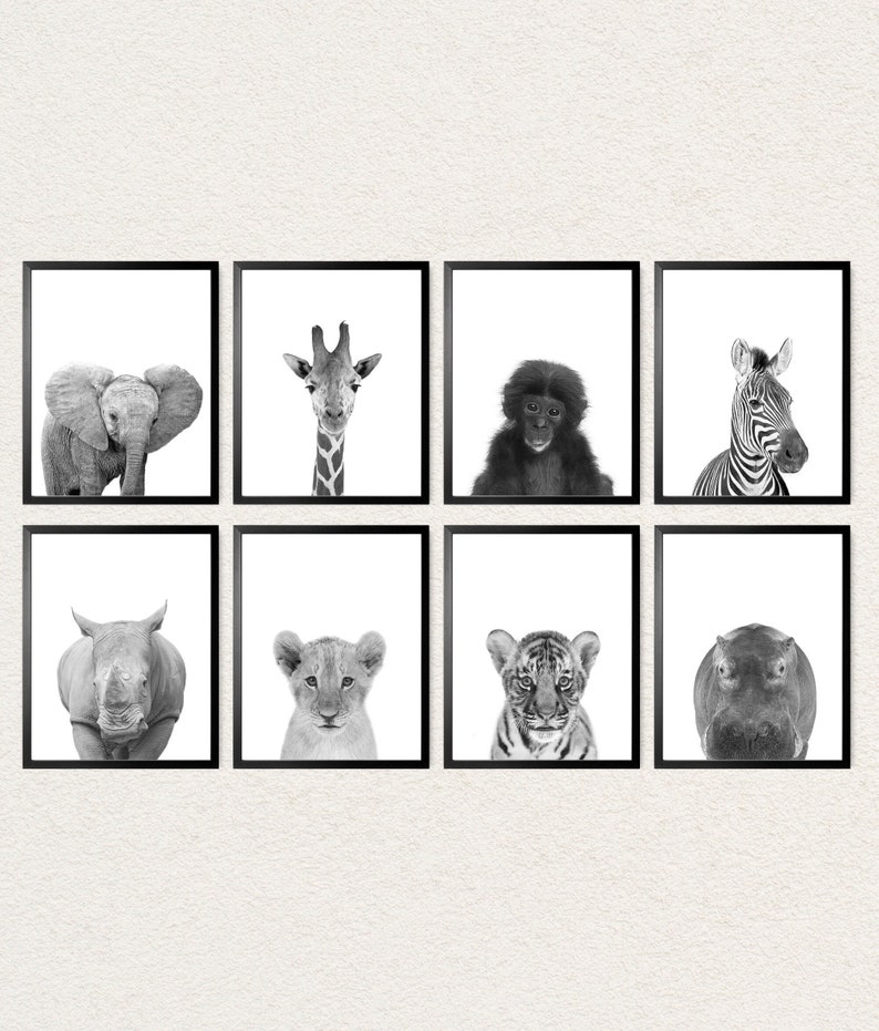Safari Baby Animal Prints Black and White or Color Jungle Etsy