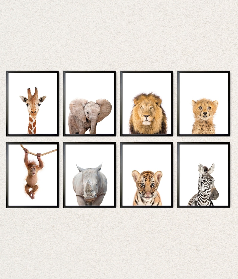Set of 8 Safari Animal Nursery Decor Jungle Animals Wall Art Etsy