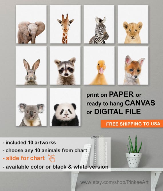 Nursery Art Baby Animals Set Of 10 Animal Kids Room Prints Etsy Nursery Art Baby Animals Set Of 10 Animal Kids Room Prints Etsy
