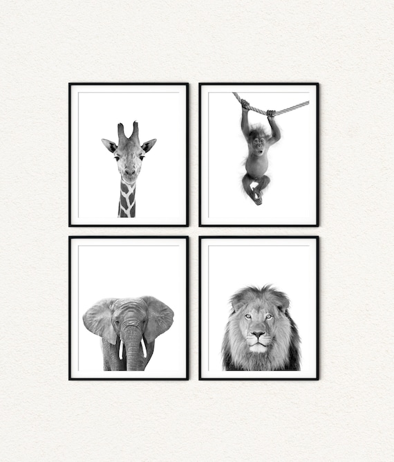 Safari Animal Prints Set: Black and White Jungle Nursery Decor