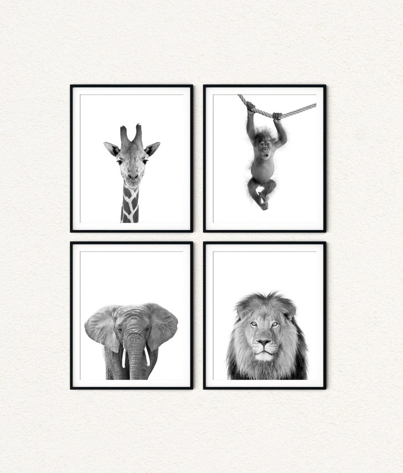 Set of four black and white safari animal wall art prints. Includes a close-up of a giraffe’s head and neck, a playful baby monkey hanging from a rope, a front-facing elephant with big ears, and a majestic lion portrait. Minimalist style on white background. Available as unframed paper prints or stretched canvas, with many other animals to choose from.