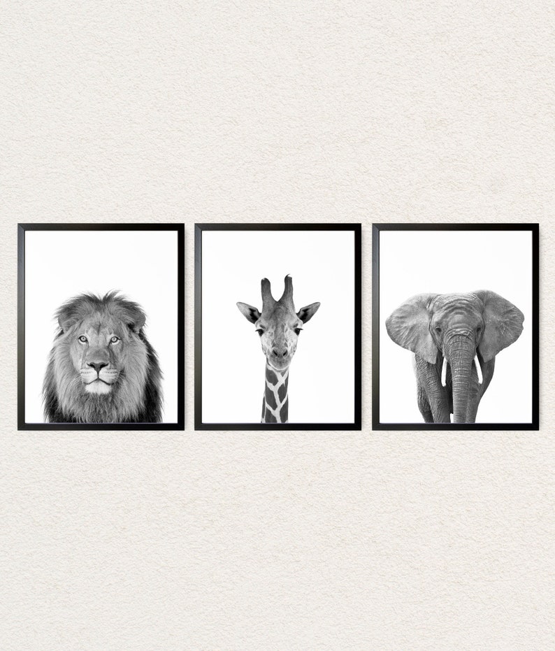 Black and White Animal Prints Safari Animals Nursery Prints Etsy