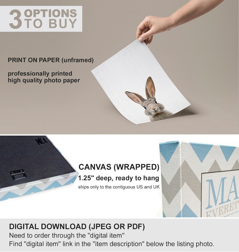 May include: Three options for purchasing a print of a rabbit with a chevron pattern background. The options are: print on paper, canvas wrapped, and digital download. The canvas wrapped option is 1.25 inches deep and ready to hang. The digital download is available in JPEG or PDF format.