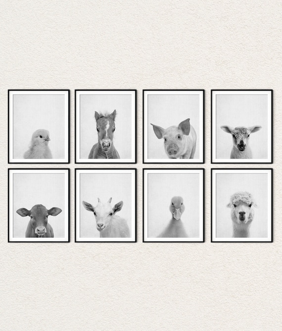 Farm Animal Prints: Baby Animals Photo, Nursery Decor, Set of 8