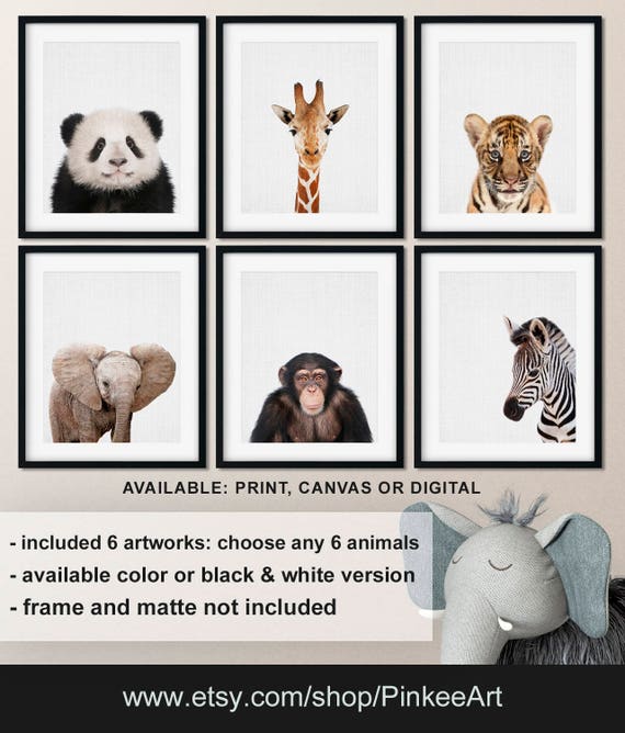 Zoo animals nursery Animal nursery wall art Animal prints Etsy