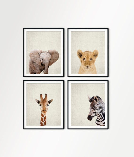 Baby Animal Wall Art Animal Pictures for Nursery Zoo Animals Etsy