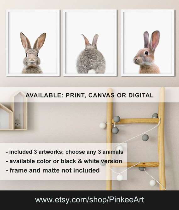 bunny nursery decor