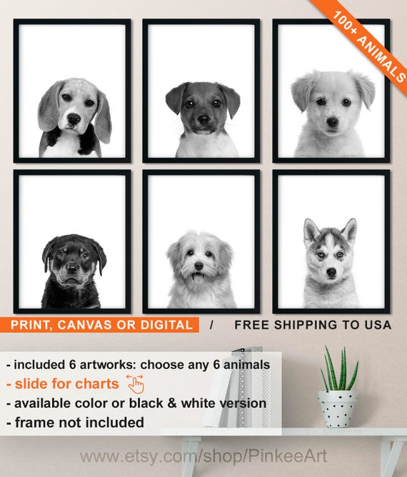 Pet Animals Chart Printable