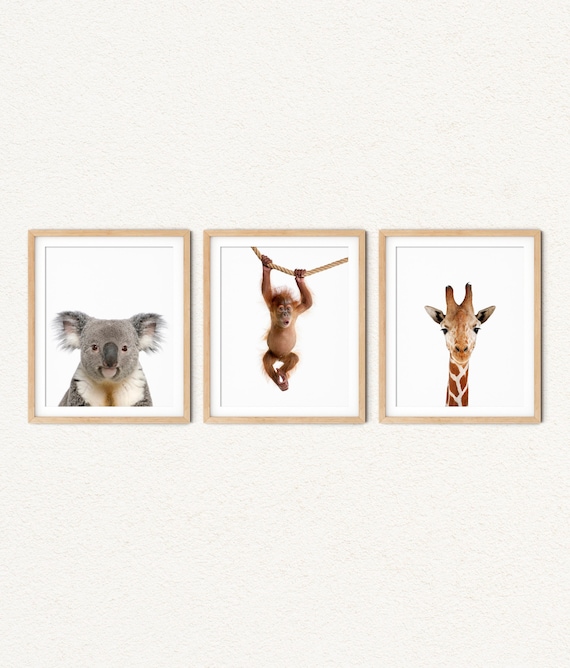 Safari Animal Nursery Prints: Baby Room Wall Art (Set of 3)