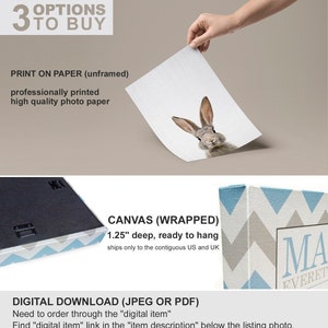 May include: Three options for purchasing a print of a rabbit with a chevron pattern background. The options are: print on paper, canvas wrapped, and digital download. The canvas wrapped option is 1.25 inches deep and ready to hang. The digital download is available in JPEG or PDF format.