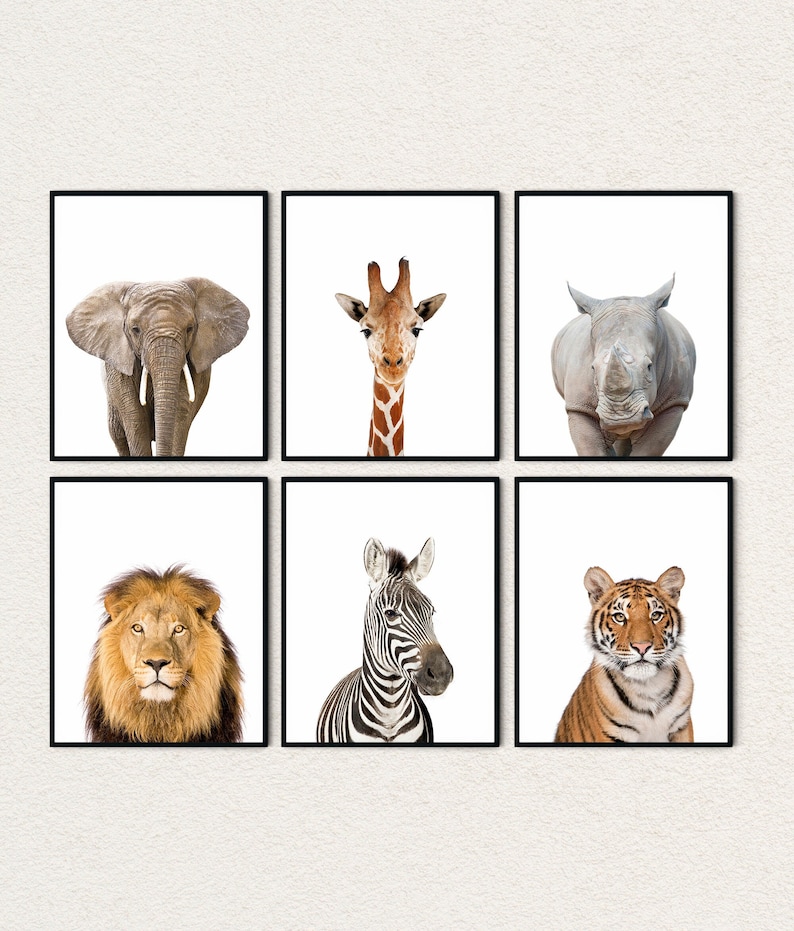 May include: Six framed animal prints featuring a lion, zebra, tiger, giraffe, elephant, and rhinoceros. Each print has a white background and features a close-up of the animal's face.