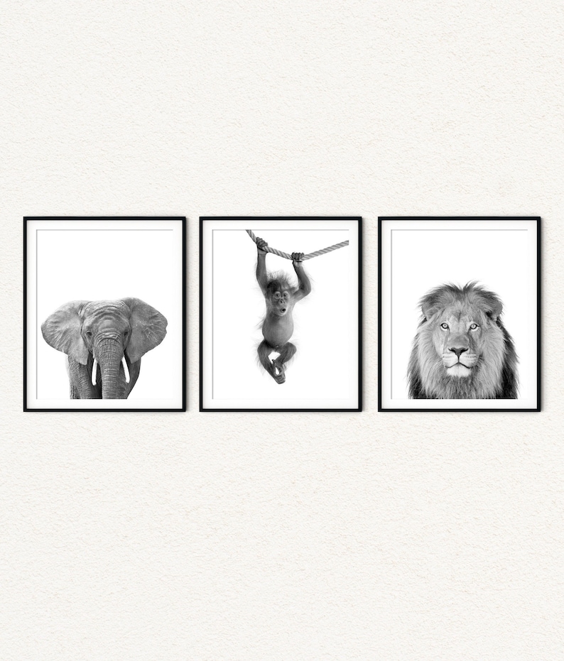 Black and White Safari Animal Prints Nursery Jungle Bedroom Etsy