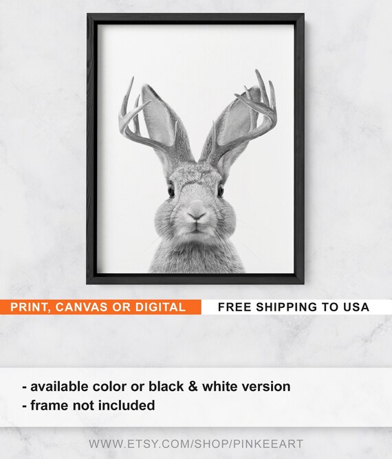 Black and White Jackalope Print, Fantasy Nursery Decor (Print/Canvas/Digital)