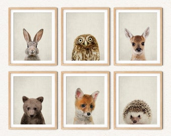 Woodland Animal Nursery Prints: Forest Creatures, Set of 6