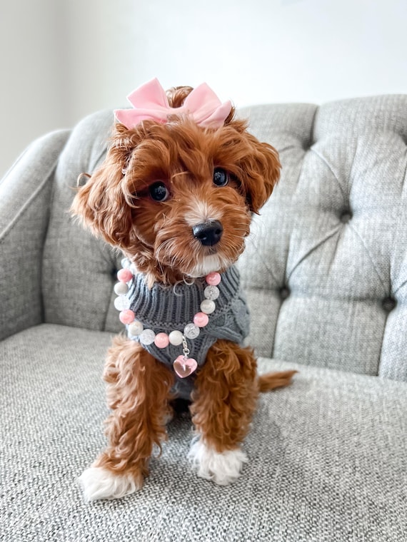 Mini Princess Pink Dog Necklace Pet Accessories Jewelry for