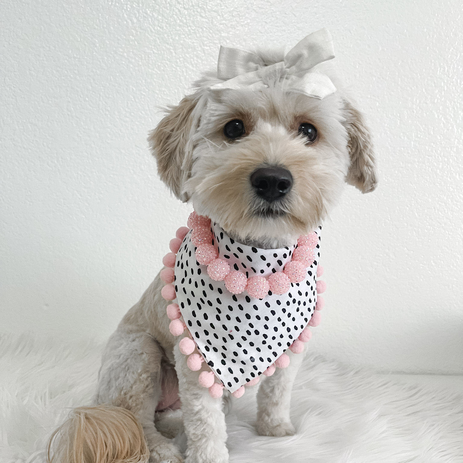 Baby Pink Rhinestone Necklace for Dogs Birthday Necklace Pet Jewelry Dog Accessories Gifts for Dog Lover Pink Dog Collar Bead Necklace