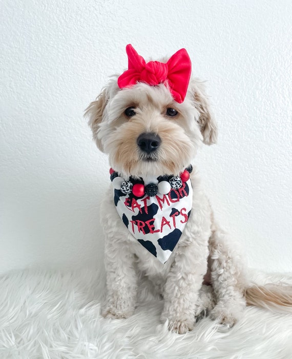 Dog With Designer Dog Jewelry Designer Dog Collar Necklace Dog