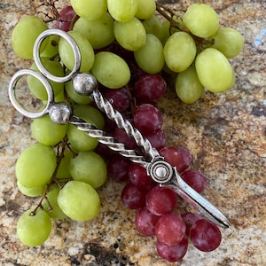 May include: A silver-toned metal grape scissor tool featuring two circular finger loops, a twisted handle design, and a central hinge mechanism with a decorative circular detail, resting atop a cluster of fresh green and red grapes.