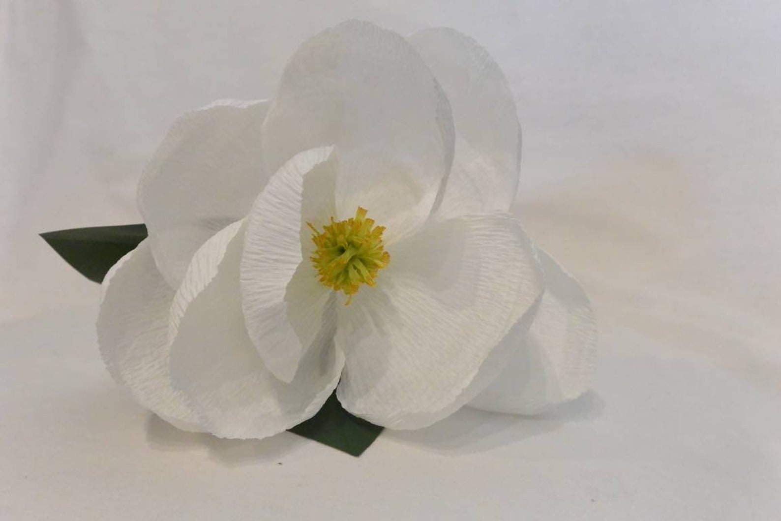 Paper Magnolia Flower Magnolia Decor Large Paper Flowers - Etsy
