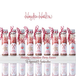 Holiday Hot Chocolate Flavor Edible Favors, Small Batch Party Toppings, Christmas Giftable Cocoa Treat