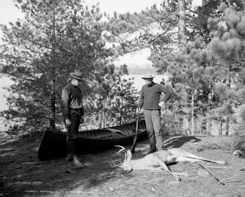 Deer Hunters in the Adirondack Mountains 1903 Historical Photo image 0