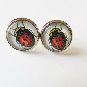 Ladybug Earrings, Red ladybird, silver jewelry, Glass Earrings, Bug post earrings, Stud insect earrings image 1